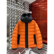 Zegna Down Jackets